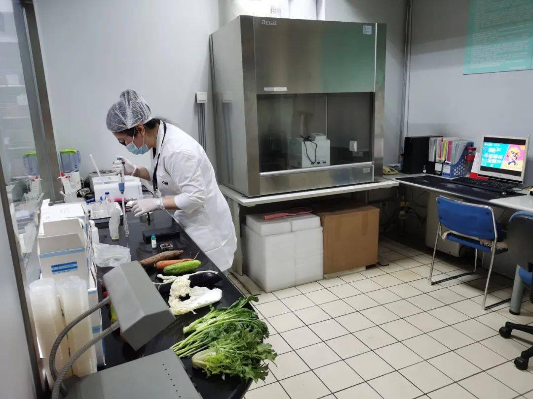 泰山食品检测实验室装修方案